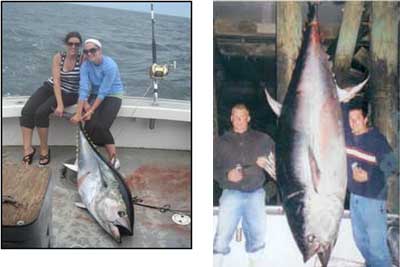 Tuna