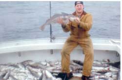 Boat full of Haddock