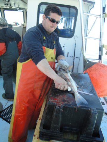 chasintailchartersgreenharborma126.jpg