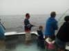 chasintailchartersgreenharborma166_small.jpg
