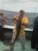 chasintailchartersgreenharborma167_small.jpg