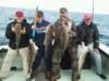chasintailchartersgreenharborma181_small.jpg