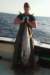 chasintailchartersgreenharborma197_small.jpg