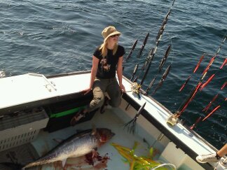 chasintailchartersgreenharborma200.jpg