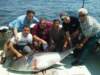 chasintailchartersgreenharborma208_small.jpg