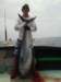 chasintailchartersgreenharborma212_small.jpg