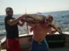 chasintailchartersgreenharborma215_small.jpg