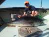 chasintailchartersgreenharborma220_small.jpg