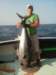 chasintailchartersgreenharborma227_small.jpg
