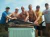 chasintailchartersgreenharborma229_small.jpg