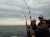chasintailchartersgreenharborma232_small.jpg