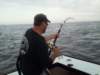 chasintailchartersgreenharborma234_small.jpg