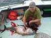 chasintailchartersgreenharborma236_small.jpg