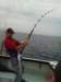 chasintailchartersgreenharborma237_small.jpg