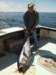 chasintailchartersgreenharborma239_small.jpg