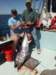 chasintailchartersgreenharborma240_small.jpg