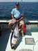 chasintailchartersgreenharborma241_small.jpg