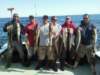 chasintailchartersgreenharborma244_small.jpg