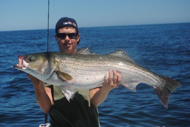 chasintailchartersgreenharborma248.jpg