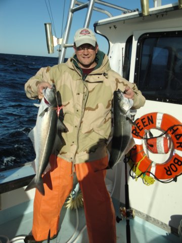 chasintailchartersgreenharborma256.jpg