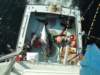 chasintailchartersgreenharborma267_small.jpg