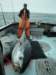 chasintailchartersgreenharborma270_small.jpg