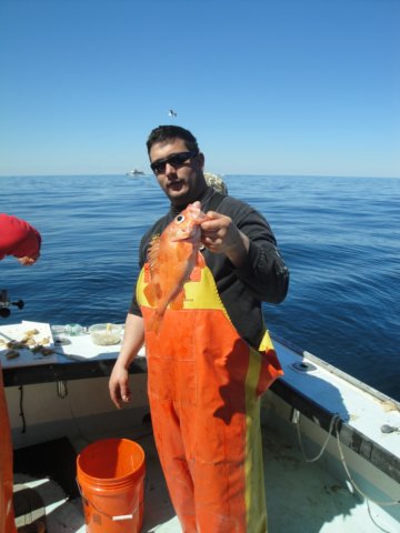 chasintailchartersgreenharborma34.jpg