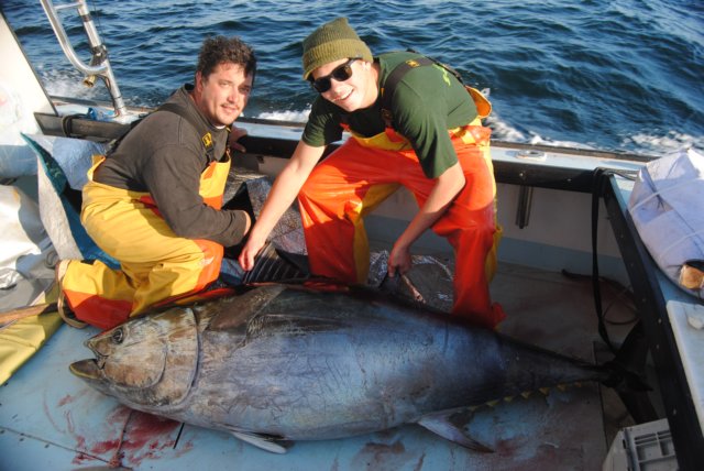 chasintailchartersgreenharborma6.jpg